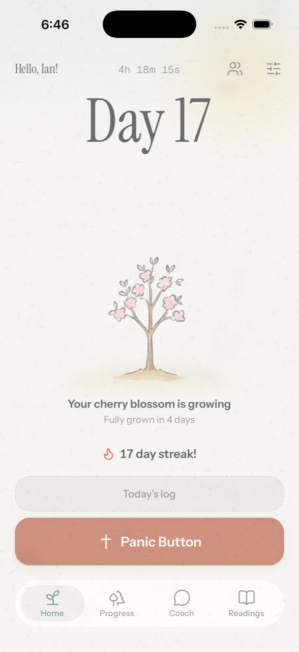 Home: Day 17, a cherry blossom growing, a 17 day streak, today's log and the Panic Button