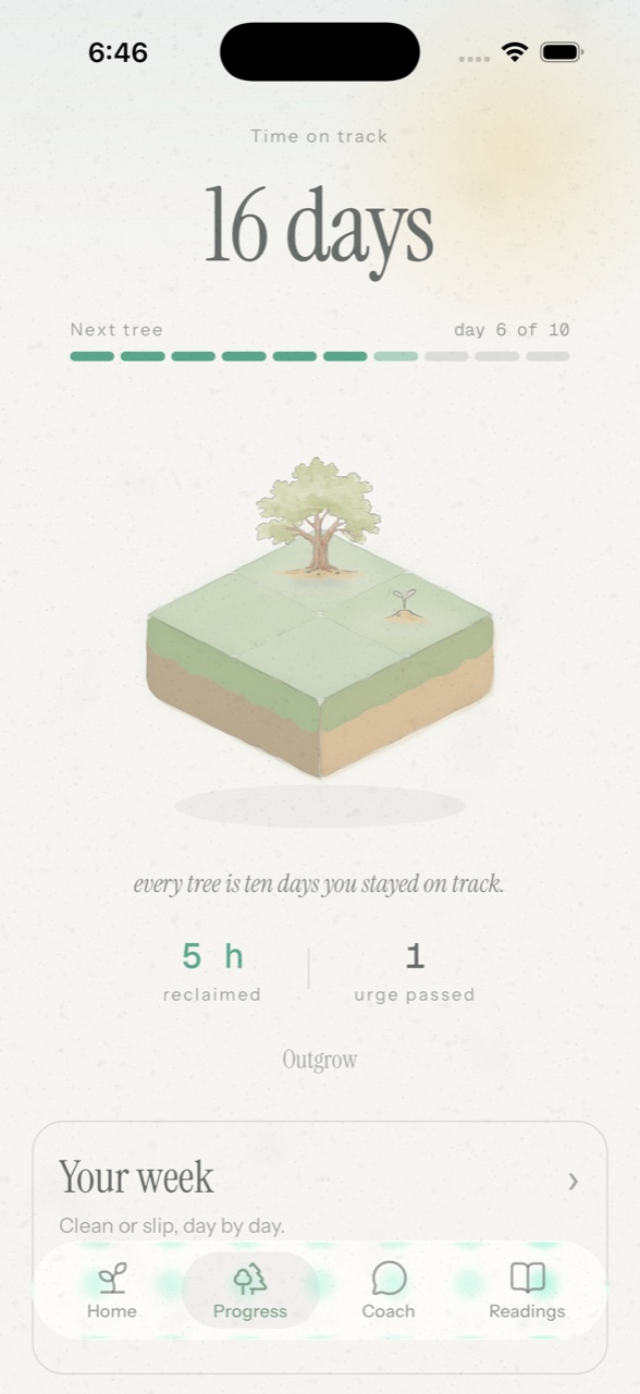 Progress: 16 days on track, the island with a grown oak and a new sprout, five hours reclaimed